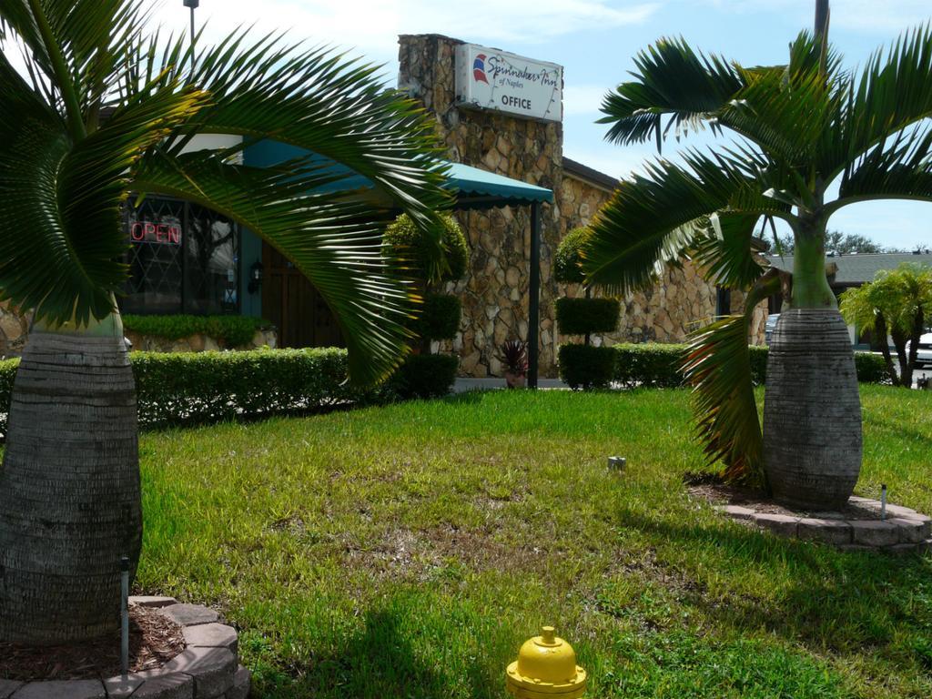 Vineyards 斯宾那科那不勒斯旅馆汽车旅馆 外观 照片